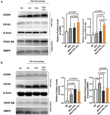 Copper-Containing Alloy as Immunoregulatory Material in Bone Regeneration via Mitochondrial Oxidative Stress